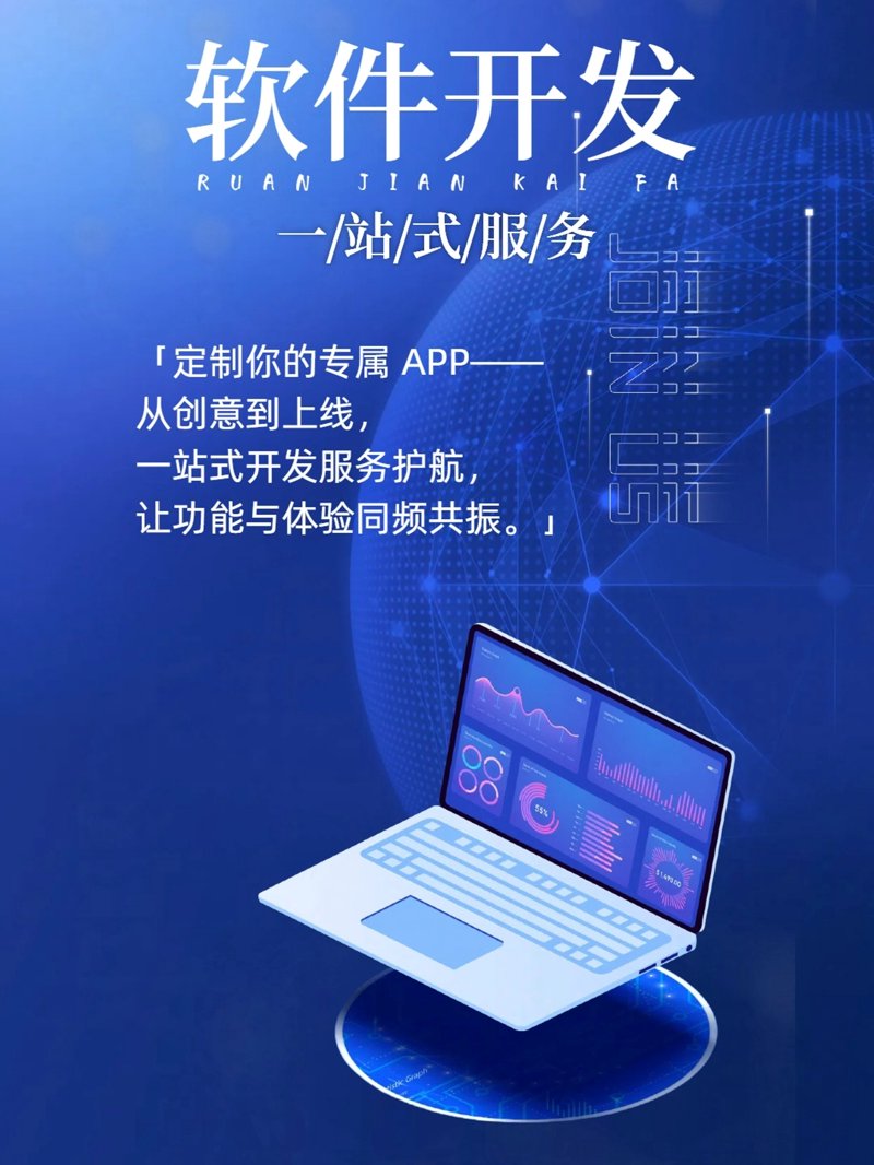 软件定制:企业成长的催化剂